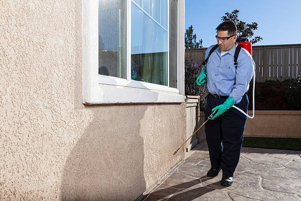 Best Pest Control for Multi-Family Homes  in Hesperia, CA